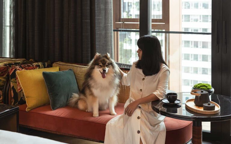 Best Western Pet Fee Guide: What You Need to Know Before Traveling With Your Pet