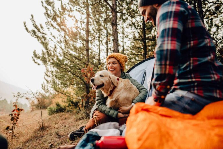 Disney Resorts That Allow Dogs: A Comprehensive Guide for Pet-Friendly Travel